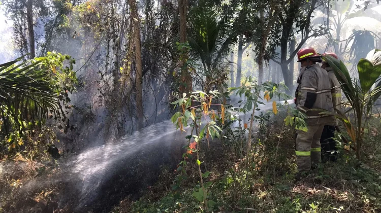 Kebakaran Lahan Kebun di Rempung Berhasil Dipadamkan