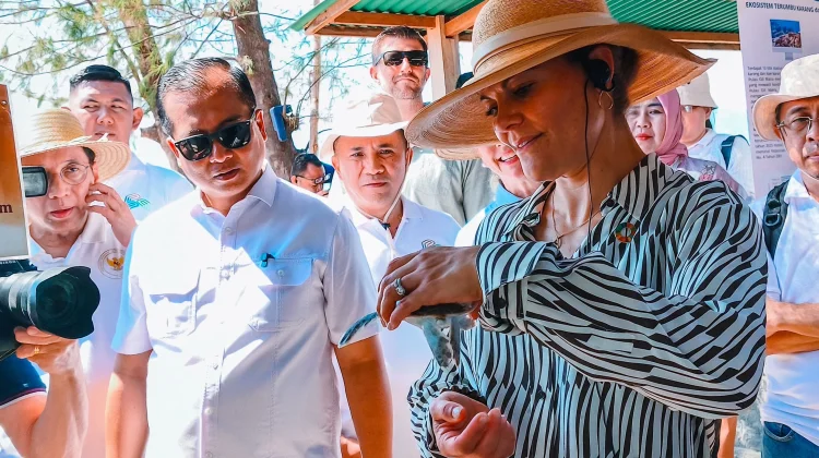 Lepas Tukik di Gili Meno, Putri Victoria Kagum dengan Konservasi Laut NTB