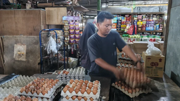 Harga Telur Naik Setelah Maulid, Pedagang Sebut Kondisi Mulai Stabil