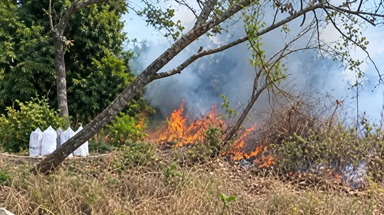 Damkarmat Lombok Timur Padamkan Kebakaran di Pekuburan Peneda Gandor