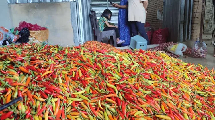 Harga Komoditas Mataram Tetap Stabil di Musim Kemarau