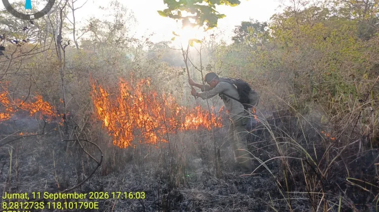 Petugas Tembus Medan Sulit Tangani Karhutla Tambora
