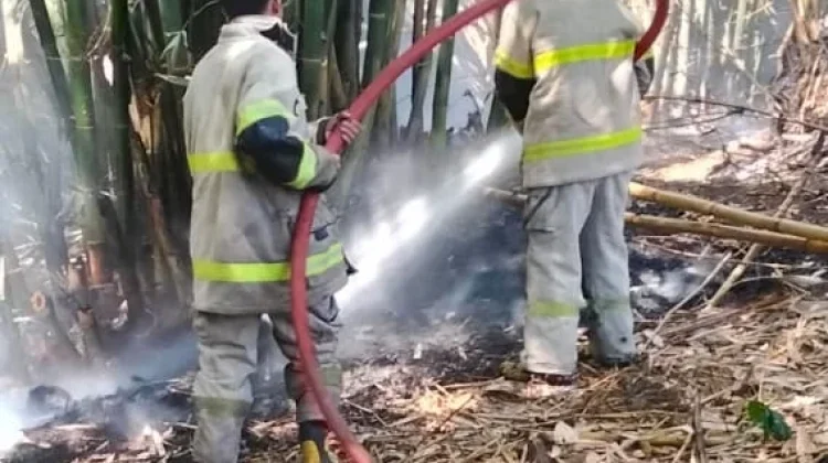Kebakaran Lahan di Batuyang Diduga akibat Puntung Rokok