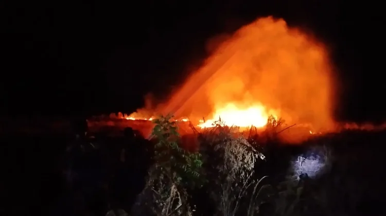 Kebakaran Lahan di Padak Guar Sambelia Berhasil Dikendalikan