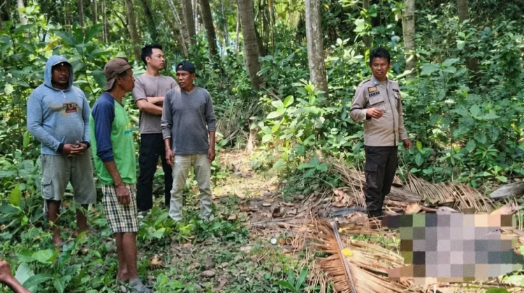 Diduga Jatuh dari Pohon Kelapa, Pria di Bima Meninggal Dunia