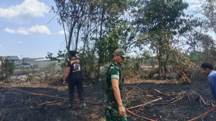 Kebakaran Lahan di Meninting Berhasil Dipadamkan TNI Bersama Damkar dan Warga