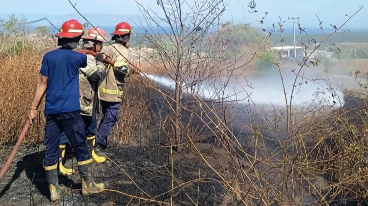 Dikhawatirkan Meluas, Damkarmat Lotim Sigap Tangani Kebakaran Lahan di Jeringo
