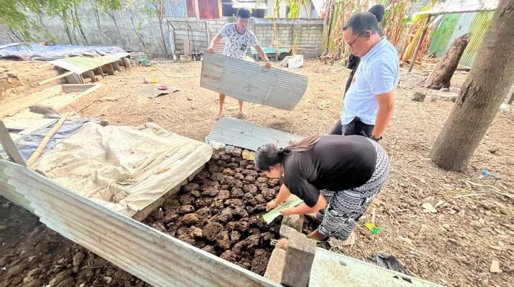 Polisi Bongkar Pemasok Narkoba Jenis Mushroom di Lombok Utara