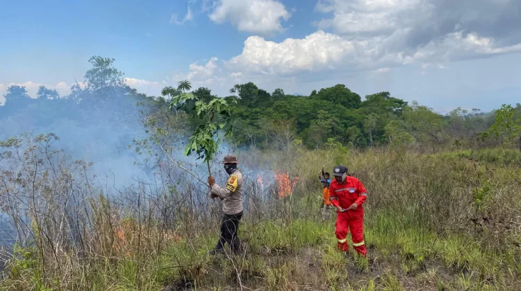 Sisir Kawasan Tambora, Petugas Gabungan Padamkan Titik Api