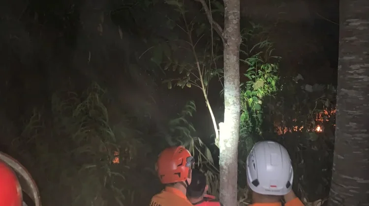 Damkarmat Lombok Timur Berhasil Padamkan Kebakaran Lahan di Sembalun