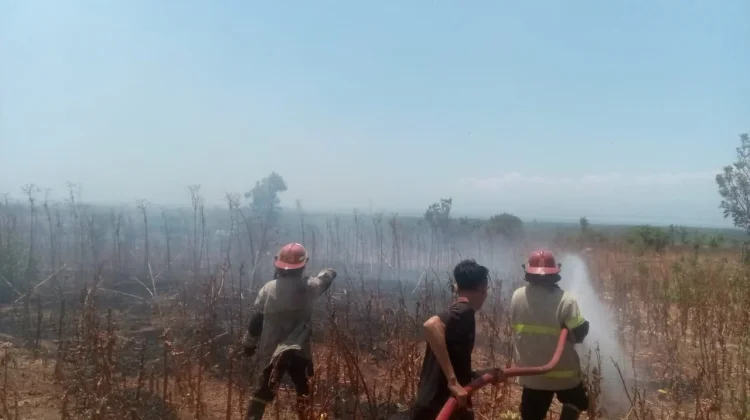 Damkarmat Lombok Timur Padamkan Kebakaran Lahan Dekat Pemukiman di Desa Perigi
