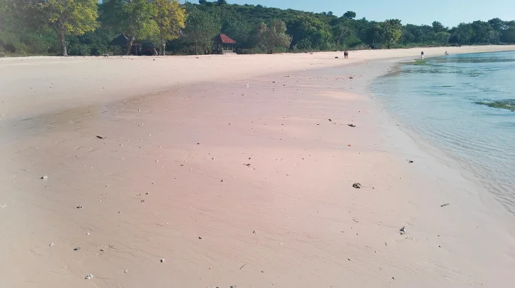 Mengapa Pasir Pantai Pink Berwarna Merah Muda?