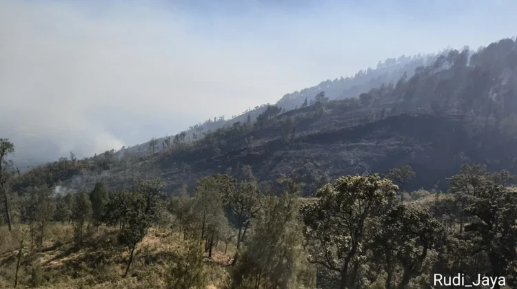 Karhutla Landa Rinjani, Jalur Torean dan Senaru Masih Ditutup