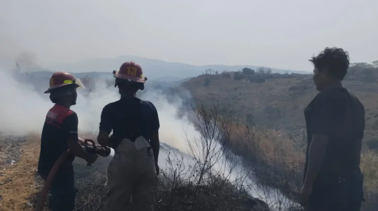 Warga Panik, Api Lahap Lahan di Kokok Pedek Sugian