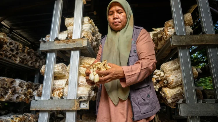 Setahun Desa Berdaya Medana: Ketika Usaha Tumbuh, Manfaat Kembali ke Masyarakat