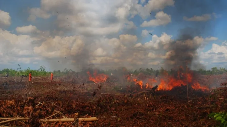 Mengapa Sulit Memadamkan Kebakaran Lahan Gambut?