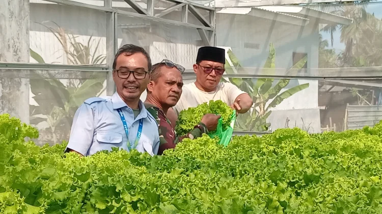 Segala Anyar Manfaatkan Halaman Kantor Bertanam Sayuran
