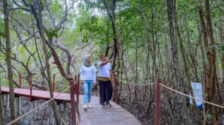 Pokdarwis Poton Bako Kelola Ekowisata Mangrove