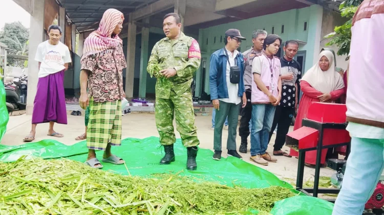 Sinergi Babinsa dan Mahasiswa KKN Perkuat Ekonomi Petani Ternak di Desa