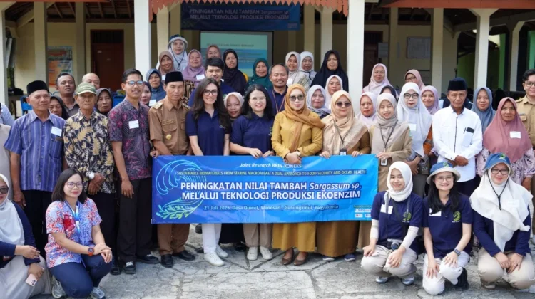 KONEKSI Dorong Riset Inklusif, Sargassum Jadi Produk Bernilai Ekonomi