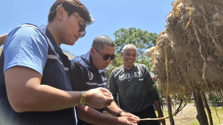 BI NTB Dampingi Petani Sembalun Kembangkan Bawang Putih untuk Konsumsi