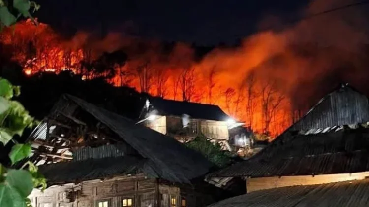 Karhutla di Desa Diha Bima, Satu Hektare Lahan Jati Terbakar
