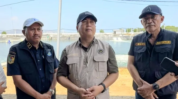 Gubernur Iqbal Tertibkan Tambak Udang Bermasalah di Sumbawa