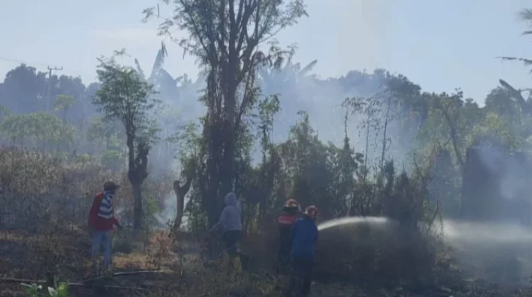 Lahan Sale Sungkar Pringgabaya Terbakar, Damkarmat Dalami Pemicu Api