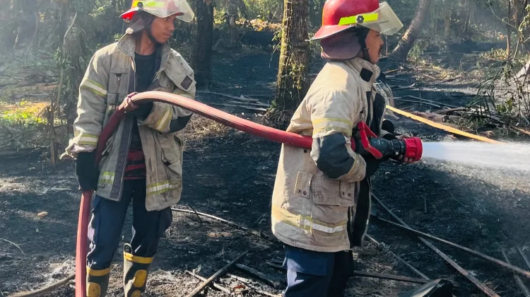 Pembakaran Sampah Picu Kebakaran Lahan di Kebon Tatar Selong