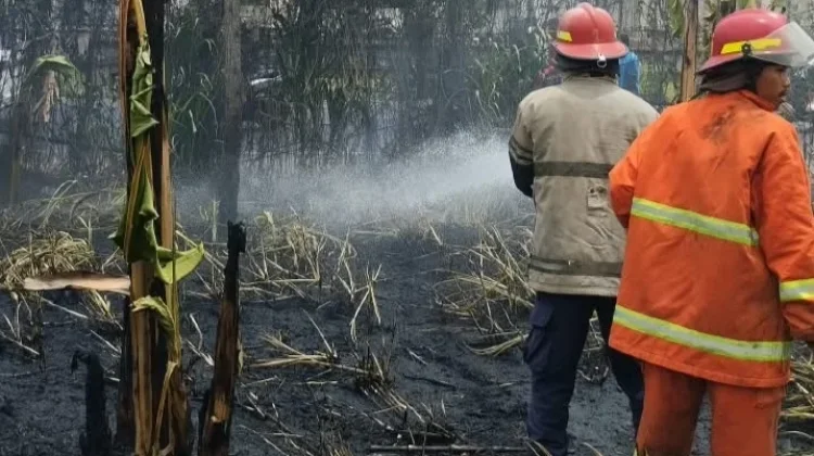 Kebakaran Lahan di Jenggik Picu Kepanikan Warga, Damkarmat Bergerak Cepat Tangani