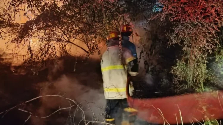 Lahan Dekat Pemukiman di Labuhan Lombok Terbakar, Damkarmat Tangani Cepat