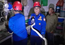 Damkarmat Lotim Evakuasi Ular dari Rumah Warga di Rempung