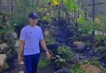 Mini Aviary Hidupkan RTH Pagutan Mataram