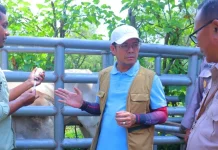 Biosekuriti yang Bagus Kunci Sukses Peternakan Dompu