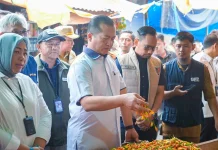 Strategi NTB Redam Harga Cabai saat Ramadan