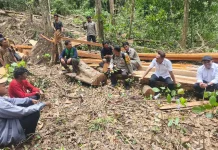 Disangka Bangun JUT, ternyata Tebang Liar