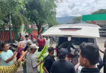 Begini Kronologi Ibu Bakar Anak di Plampang