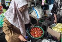 Disdag Lobar Gerak Cepat Hadapi Lonjakan Harga Cabai Tembus Rp120 Ribu