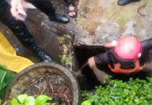 Balita Terseret Arus Selokan di Selong, Tim SAR Lakukan Pencarian