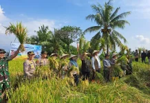 Ketahanan Pangan NTB Berpacu dari Produksi hingga Konsumsi