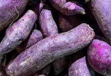 Ubi Ungu, Pangan Lokal Kaya Manfaat untuk Kesehatan