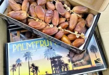 Kurma, Buah Penuh Manfaat dan Keistimewaan bagi Kesehatan