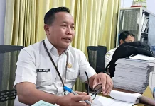PPPK Paruh Waktu Akan Diperbantukan di KMP
