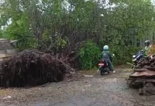 Cuaca Ekstrem Beberapa Hari di Lombok Timur, Ini Dampaknya