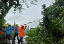 Cuaca Ekstrem, PLN Tuntaskan Pemulihan Kelistrikan