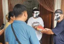 BPOM Mataram Amankan Ratusan Tablet Obat Ilegal dari Ibu Rumah Tangga