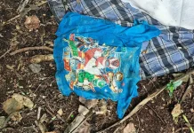 Jenazah Diduga Azril Ditemukan di Pulau Moyo, Tim SAR Bertolak ke Sumbawa