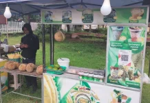 Ngabuburit dan Harapan di Balik Lapak Ramadhan Lombok Timur