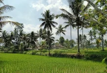 Tiket Pesawat dan Pariwisata Berkelanjutan Magnit ke NTB