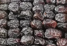 Manfaat Kurma untuk Kesehatan dan Energi Sehari-hari